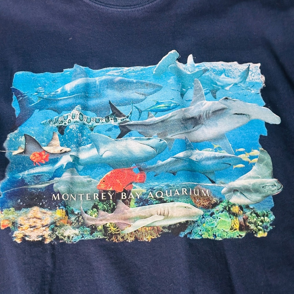 Monterey Bay Aquarium Graphic T-Shirt Size XL Blue California Sharks - Picture 3 of 9